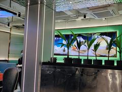 -探窝·竹笙椰子鸡(杨箕店)