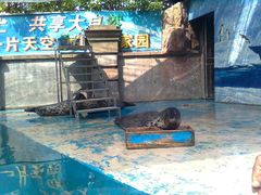 图像0042-蠡湖中央公园