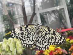 -上海自然博物馆