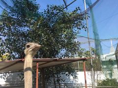 -广东花都香草世界旅游度假区
