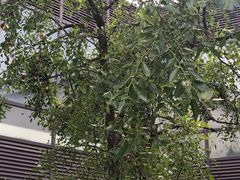 -苏州环秀晓筑养生度假村