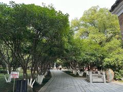 -八大山人梅湖景区