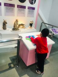 -北京科学中心儿童乐园