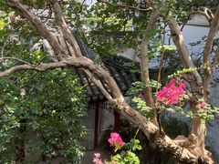 -苏州东山雕花楼宾馆