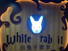-白兔子密室(长寿路店)