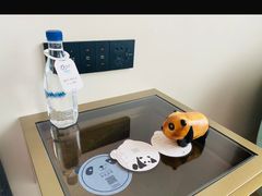 -成都凯宾斯基饭店