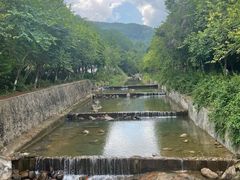 -广州白江湖森林公园