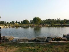android_upload_pic-稻香湖景酒店