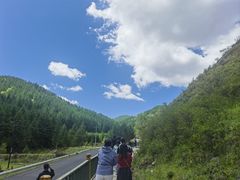 -苏木山森林公园