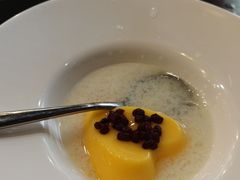 -喜上喜鸡煲翅(吉大店)