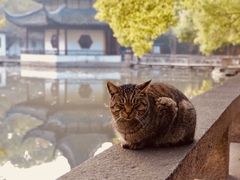 -西园戒幢律寺