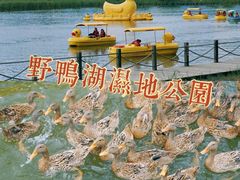 -野鸭湖国家湿地公园