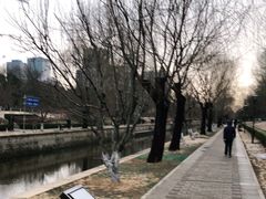 -元大都城垣遗址公园