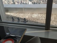 -长沙尼依格罗酒店