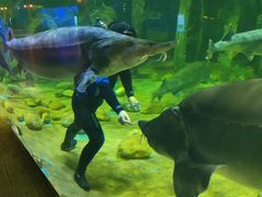 -华夏文旅海洋公园