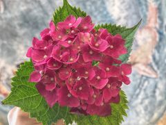 -泉城欧乐堡戏水湾艺术养生温泉