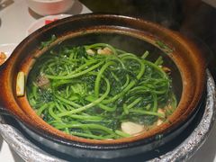 -煲煲好(朝阳门店)