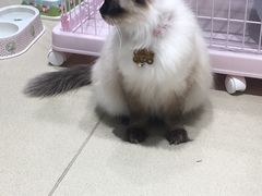 -藏猫猫咖啡主题馆(中央大道店)