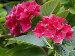 -常州古运河南大街文化旅游区-人民公园