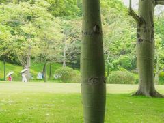 -云溪植物园