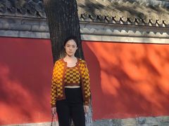 -北京国子监胡同