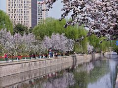 -海棠花溪(元大都城垣遗址公园)