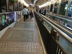 -中环半山扶手电梯