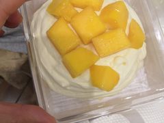 -唐·匠心·动物奶油·冰淇淋蛋糕(石岐店)