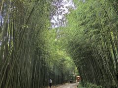 -竹泉村旅游度假区