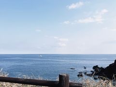 -涉地可支