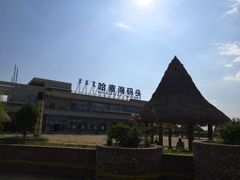 -哈素海