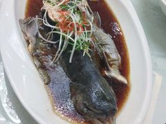 -清真悦宾楼食府(海湖店)