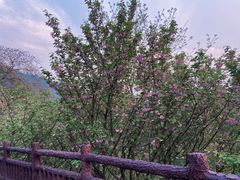 -贵阳市花溪国家城市湿地公园