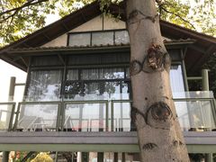 -喜洲吧·江畔老船厂·庭院餐厅(喜临院店)