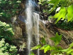 -少华山国家森林公园