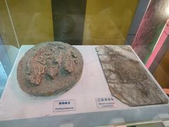 -吉林省自然博物馆