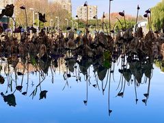 -白塘生态植物园
