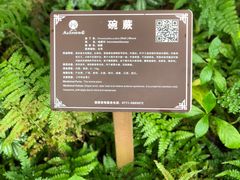 -广西壮族自治区药用植物园