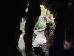 -杭州黄龙洞