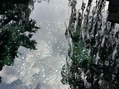 -趵突泉景区