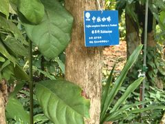 -中国科学院西双版纳热带植物园