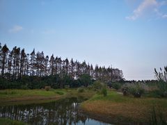 -上海长兴岛郊野公园