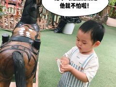 -呀路古热带植物园