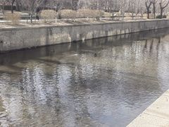 -元大都城垣遗址公园