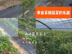 -万源龙顺度假庄园生态观光园