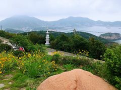 -枸杞岛