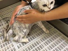 -宠颐生动物医院·小陆分院
