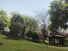 -堤角公园