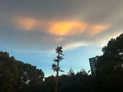 -上海玛雅海滩水公园