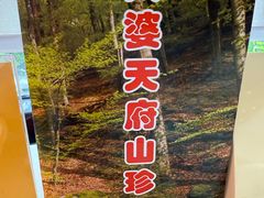 -太婆天府山珍酒楼(亚运村店)